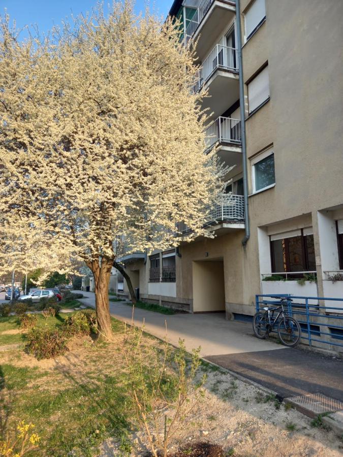 Apartment Jarun Comfort Zagreb Exterior foto